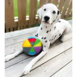 FouFIT Hide 'n Seek Disc Dog Toys, Multicolor -Pet Care Sales 528302 PT3. AC SS1800 V1657658561