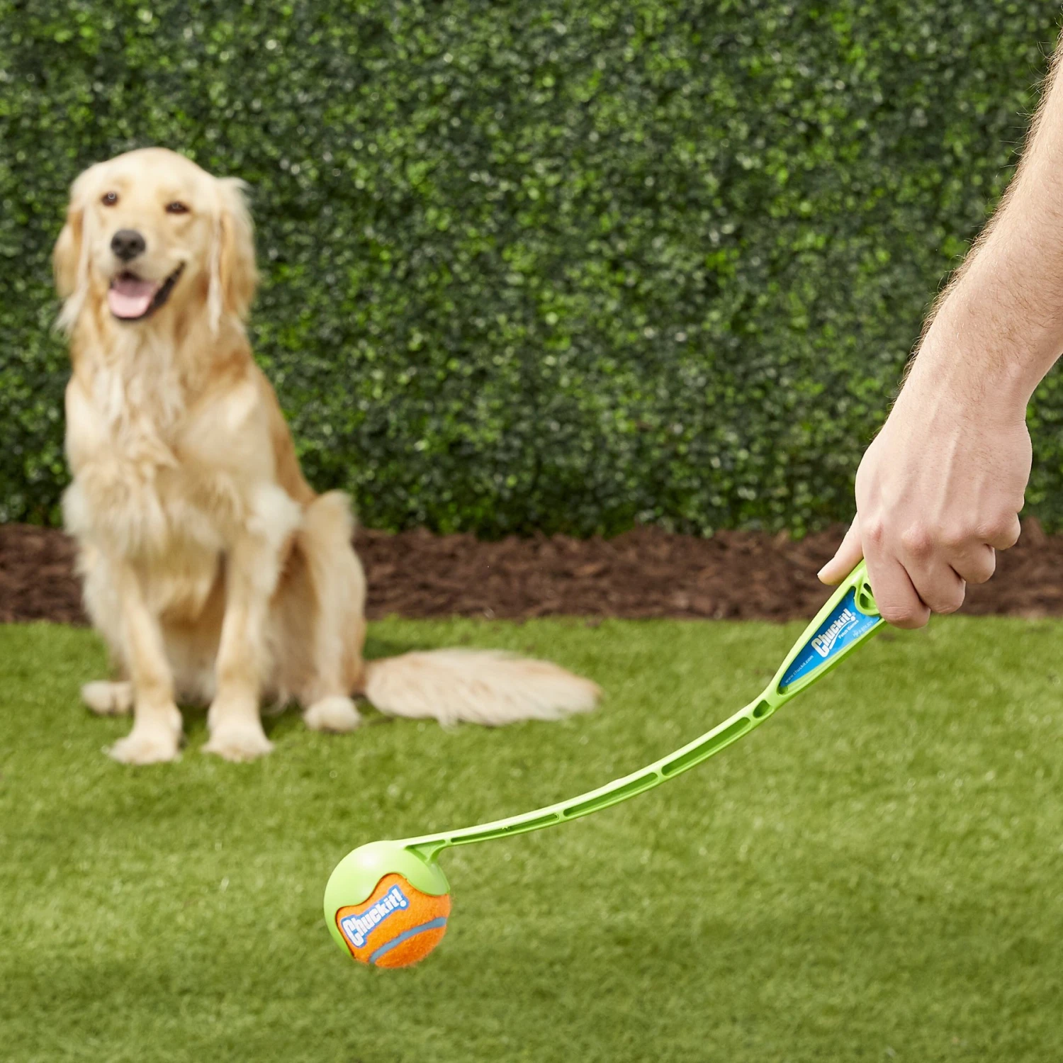 Chuckit! Junior Launcher Dog Toy, Color Varies 2 Chuckit! Junior Launcher Dog Toy, Color Varies - Image 2