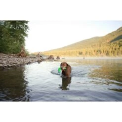 Chuckit! Amphibious Boomerang Dog Toy, Color Varies -Pet Care Sales 53241 PT3. AC SS1800 V1510778334