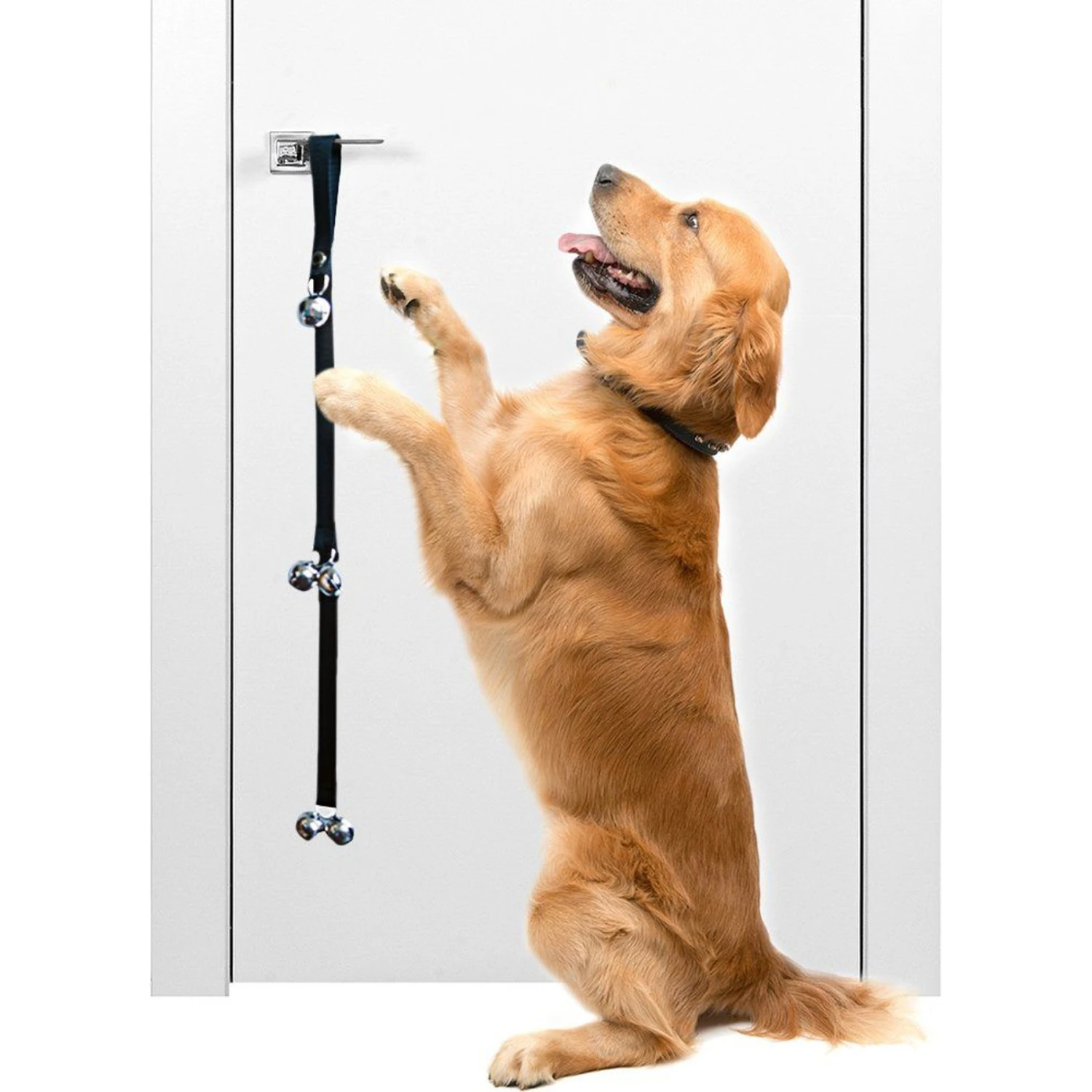 SunGrow Hanging & Communication Tool Dog & Cat Training Potty Doorbell, 34-in 1 SunGrow Hanging & Communication Tool Dog & Cat Training Potty Doorbell, 34-in