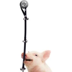 SunGrow Hanging & Communication Tool Dog & Cat Training Potty Doorbell, 34-in 7 SunGrow Hanging & Communication Tool Dog & Cat Training Potty Doorbell, 34-in -Pet Care Sales 533950 PT2. AC SS1800 V1657658635