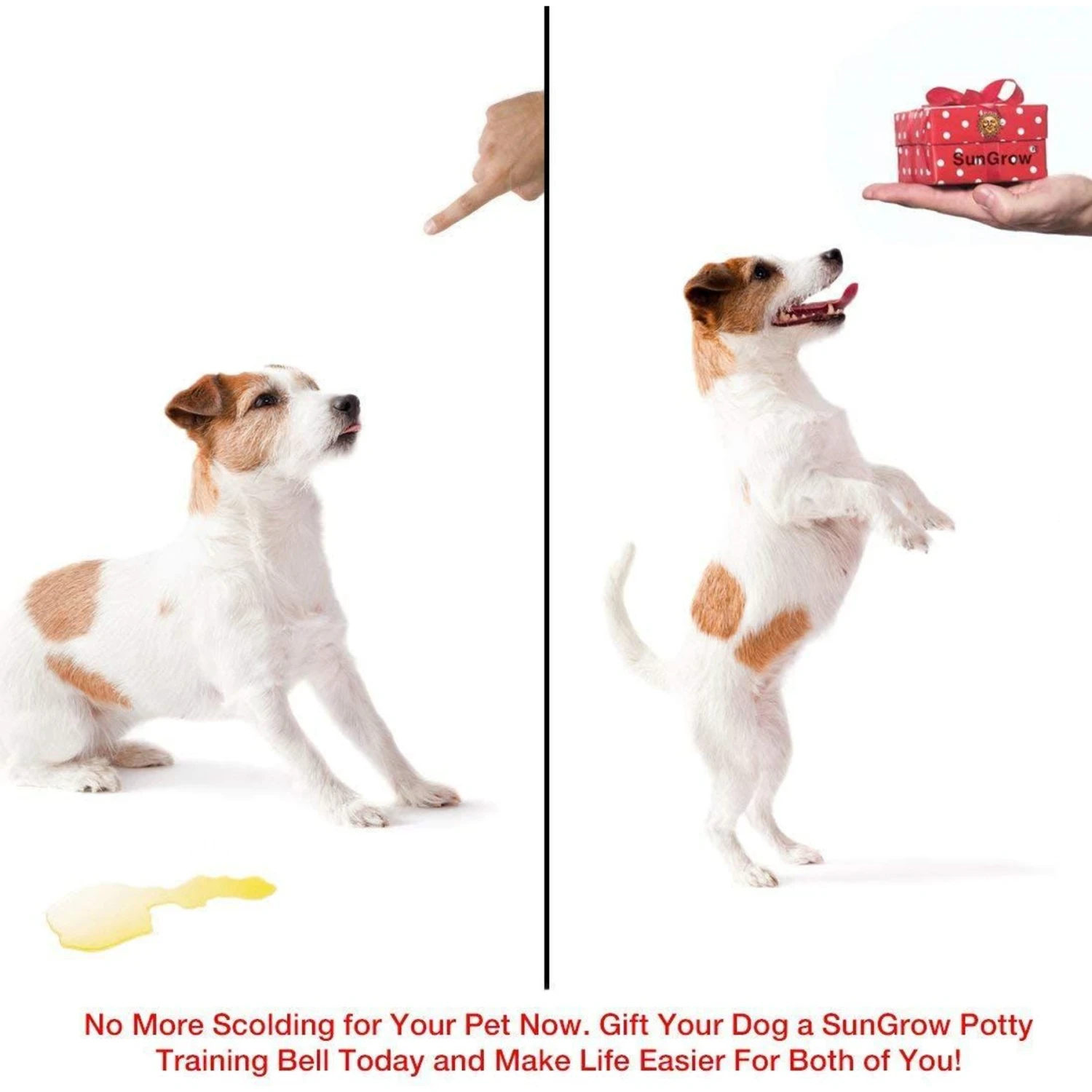 SunGrow Hanging & Communication Tool Dog & Cat Training Potty Doorbell, 34-in 4 SunGrow Hanging & Communication Tool Dog & Cat Training Potty Doorbell, 34-in - Image 4