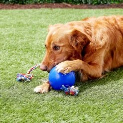 Jolly Pets Romp-n-Roll Dog Toy, Blue 7 Jolly Pets Romp-n-Roll Dog Toy, Blue -Pet Care Sales 53650 PT7. AC SS1800 V1515535531