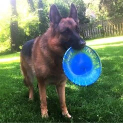 Ruff Dawg K9 Flyer Disc Dog Toy, Color Varies 7 Ruff Dawg K9 Flyer Disc Dog Toy, Color Varies -Pet Care Sales 53795 PT2. AC SS1800 V1602328559