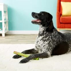 Ruff Dawg Stick Dog Fetch Toy, Color Varies 9 Ruff Dawg Stick Dog Fetch Toy, Color Varies -Pet Care Sales 53803 PT8. AC SS1800 V1507036192