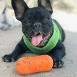 Ruff Dawg Peanut Treat Dispenser Dog Toy, Color Varies -Pet Care Sales 53810 PT2. AC SS1800 V1602300361