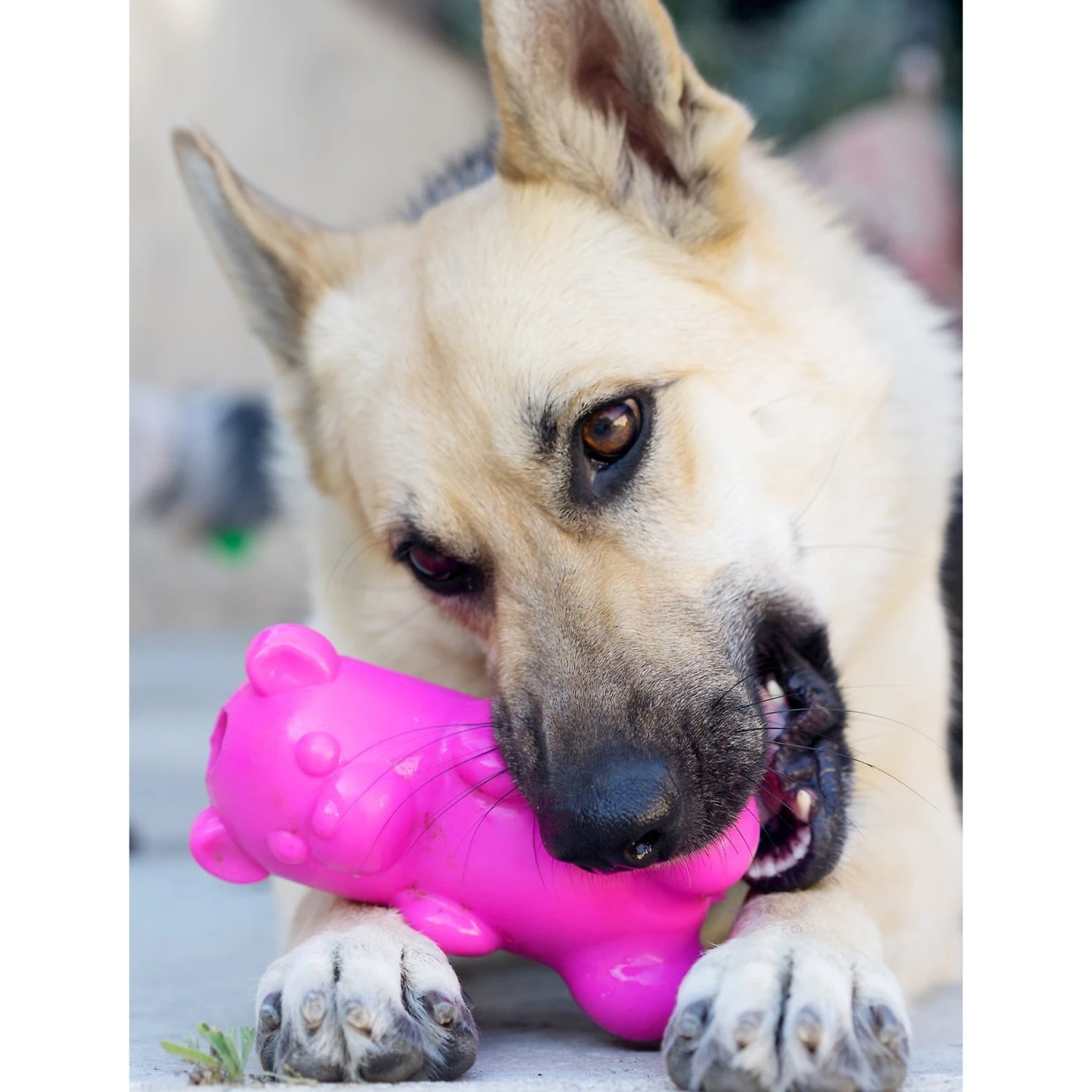 Ruff Dawg Gummy Bear Treat Dispenser Dog Toy, Color Varies 5 Ruff Dawg Gummy Bear Treat Dispenser Dog Toy, Color Varies - Image 5