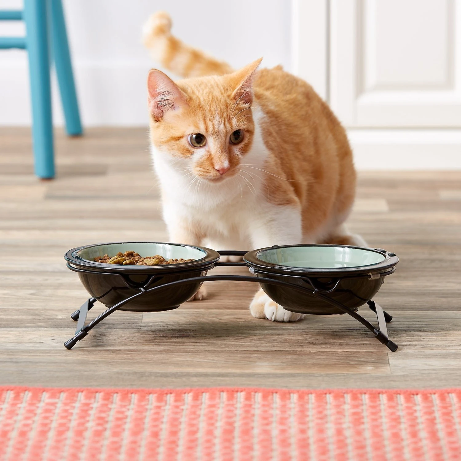 PetRageous Designs Buddy's Best Double Diner Elevated Dog & Cat Bowls 2 PetRageous Designs Buddy's Best Double Diner Elevated Dog & Cat Bowls - Image 2
