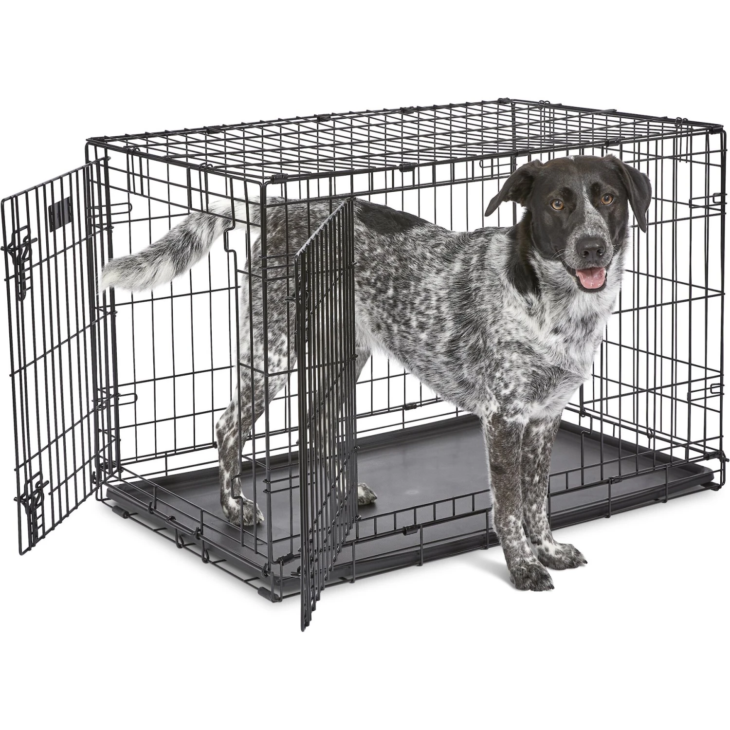 MidWest ICrate Fold & Carry Double Door Collapsible Wire Dog Crate 2 MidWest ICrate Fold & Carry Double Door Collapsible Wire Dog Crate - Image 2