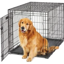 MidWest LifeStages Single Door Collapsible Wire Dog Crate