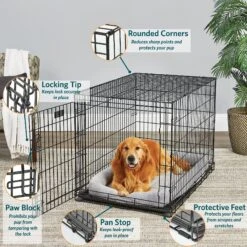 Pet Care Sales -Pet Care Sales 60411 PT1. AC SS1800 V1647553914