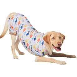 Frisco Dinosaur Dog & Cat Jersey PJs 8 Frisco Dinosaur Dog & Cat Jersey PJs -Pet Care Sales 609062 PT4. AC SS1800 V1681488688