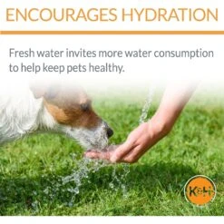 K&H Pet Products CleanFlow Filtered Water Dog Bowl -Pet Care Sales 61715 PT3. AC SS1800 V1637624815