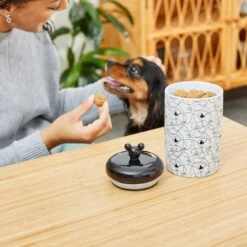 Disney Table Scraps Mickey Mouse Hot Diggity Dog Recipe Upcycled Jerky Dog Treats, 5-oz Bag & Disney Mickey Lines Ceramic Treat Jar -Pet Care Sales 623494 PT7. AC SS1800 V1661896454