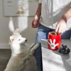 Disney Table Scraps Mickey Mouse Hot Diggity Dog Recipe Upcycled Jerky Dog Treats, 5-oz Bag & Disney Mickey Mouse Ceramic Dog & Cat Treat Jar -Pet Care Sales 623510 PT8. AC SS1800 V1661896152
