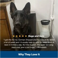 PetSafe Healthy Gravity Refill Dog & Cat Waterer -Pet Care Sales 63119 PT5. AC SS1800 V1676398827