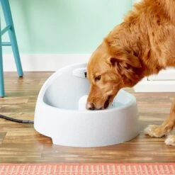 PetSafe Drinkwell Everflow Plastic Dog & Cat Fountain 10 PetSafe Drinkwell Everflow Plastic Dog & Cat Fountain -Pet Care Sales 63326 PT2. AC SS1800 V1539373024