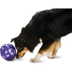 PetSafe Busy Buddy Kibble Nibble Treat Dispenser Dog Toy -Pet Care Sales 63854 PT2. AC SS1800 V1602289560