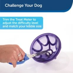 PetSafe Busy Buddy Kibble Nibble Treat Dispenser Dog Toy -Pet Care Sales 63854 PT6. AC SS1800 V1602306659