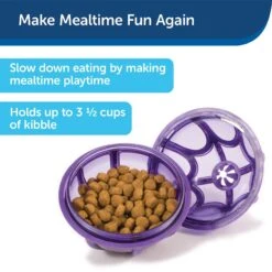 PetSafe Busy Buddy Kibble Nibble Treat Dispenser Dog Toy -Pet Care Sales 63854 PT7. AC SS1800 V1602328559