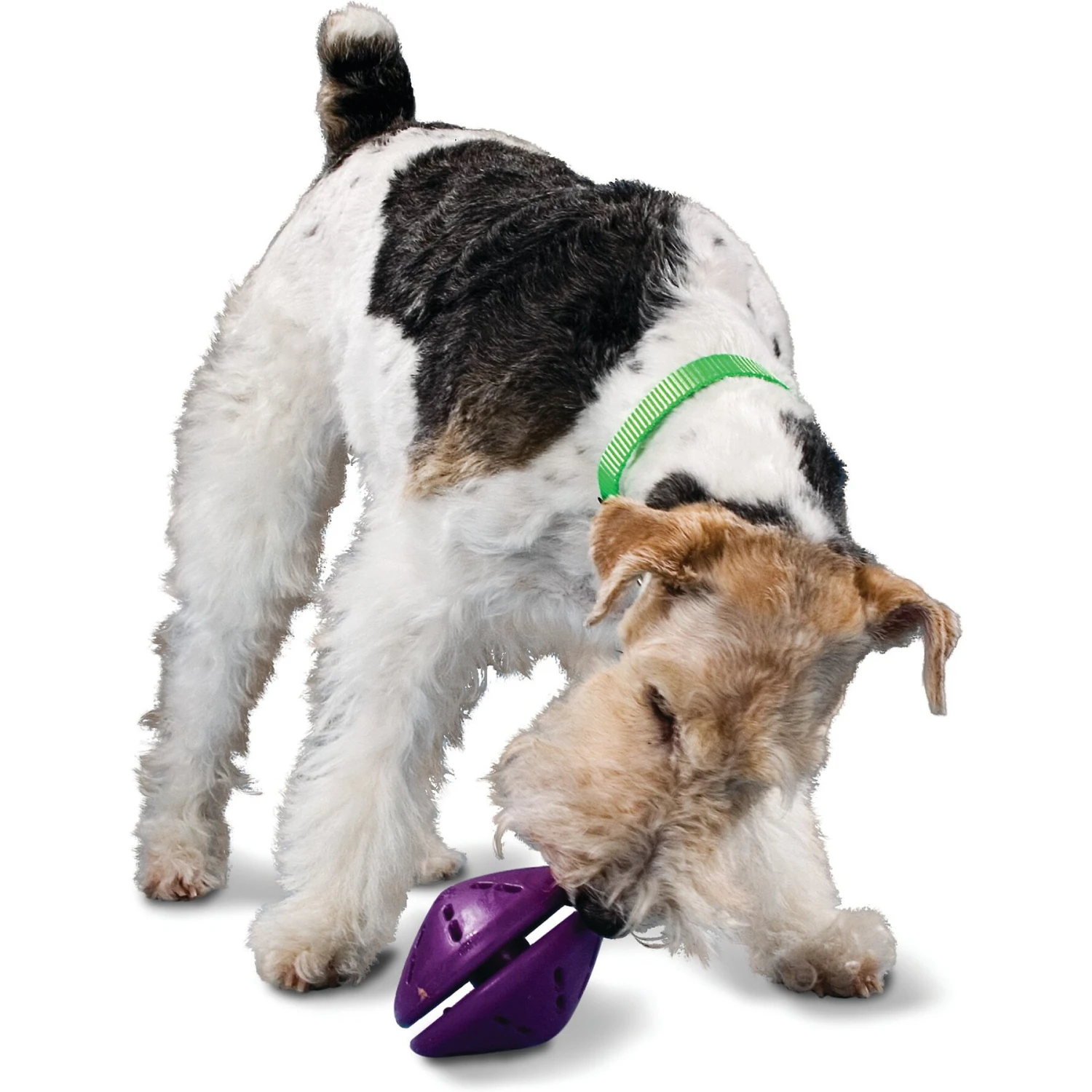PetSafe Busy Buddy Twist 'n Treat Treat Dispenser Dog Toy 3 PetSafe Busy Buddy Twist 'n Treat Treat Dispenser Dog Toy - Image 3