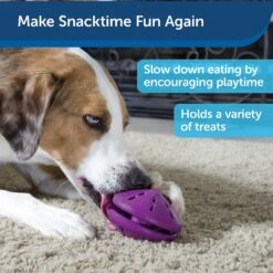 PetSafe Busy Buddy Twist 'n Treat Treat Dispenser Dog Toy 14 PetSafe Busy Buddy Twist 'n Treat Treat Dispenser Dog Toy -Pet Care Sales 63858 PT7. AC SS1800 V1602324061