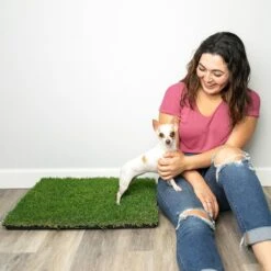 Gotta Go Grass The Natural Relief Dog Potty Pads, 16-in X 24-in, 2 Count 10 Gotta Go Grass The Natural Relief Dog Potty Pads, 16-in X 24-in, 2 Count -Pet Care Sales 640254 PT3. AC SS1800 V1663018877