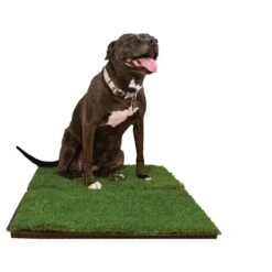 Gotta Go Grass The Natural Relief Dog Potty Pads, 16-in X 24-in, 2 Count 11 Gotta Go Grass The Natural Relief Dog Potty Pads, 16-in X 24-in, 2 Count -Pet Care Sales 640254 PT4. AC SS1800 V1663018557