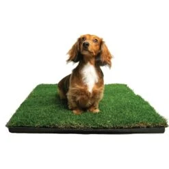 Gotta Go Grass The Natural Relief With Interlocking Tray Dog Potty Pads, 16-in X 24-in -Pet Care Sales 640270 PT4. AC SS1800 V1663019904