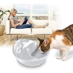 Pioneer Pet Raindrop Ceramic Dog & Cat Fountain -Pet Care Sales 64086 PT2. AC SS1800 V1630561280