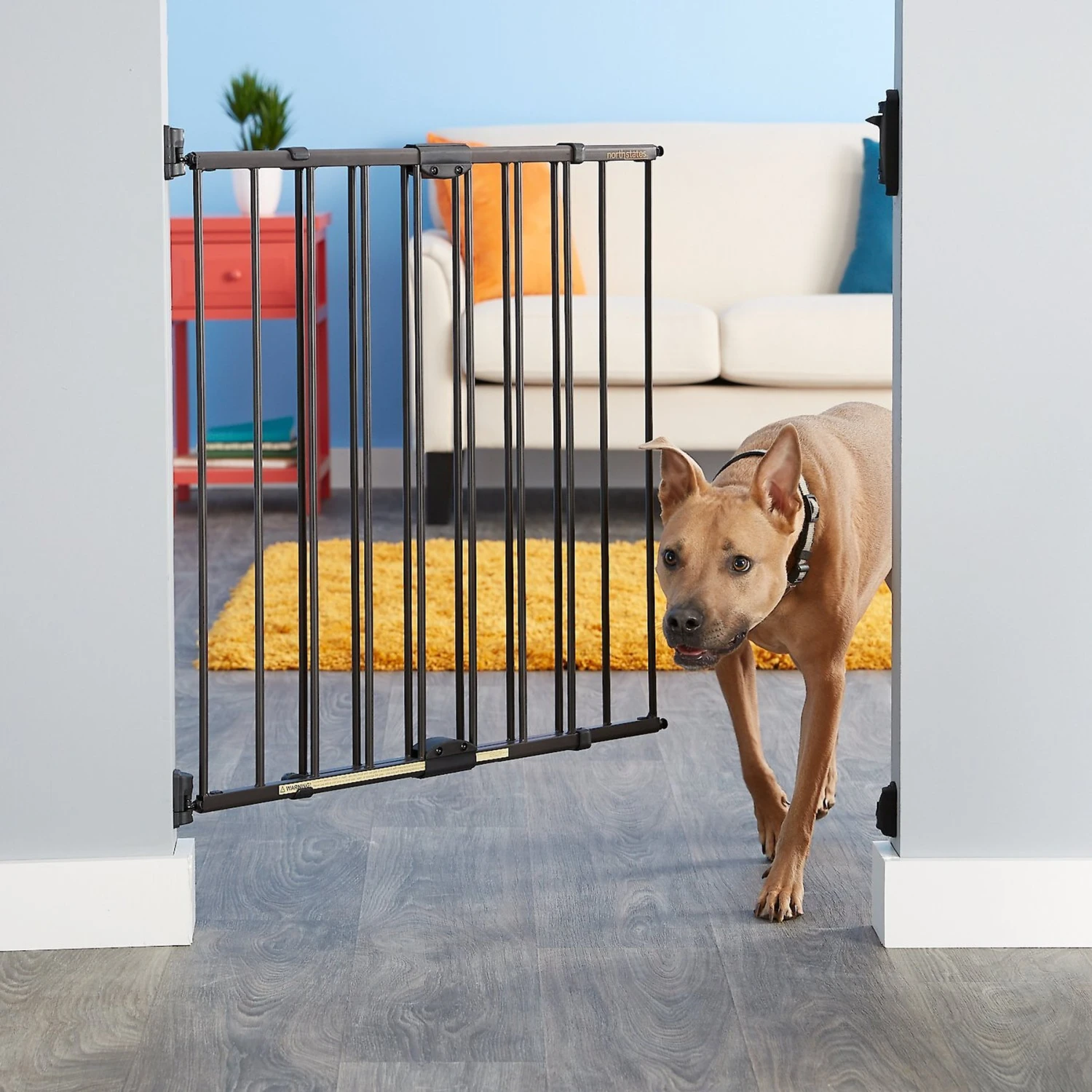 MyPet Windsor Walk Thru Swing Gate For Dogs & Cats 3 MyPet Windsor Walk Thru Swing Gate For Dogs & Cats - Image 3