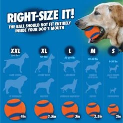 Chuckit! Pro Launcher Dog Toy, Color Varies 10 Chuckit! Pro Launcher Dog Toy, Color Varies -Pet Care Sales 64777 PT7. AC SS1800 V1530212937