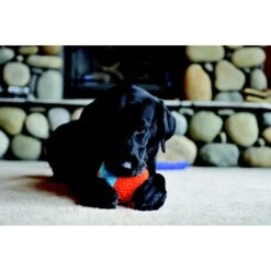 Chuckit! Indoor Shaker Dog Toy -Pet Care Sales 64798 PT3. AC SS1800 V1530911365