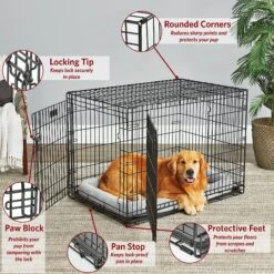 Pet Care Sales -Pet Care Sales 66304 PT1. AC SS1800 V1647557199
