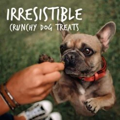 OUT! Disposable Male Dog Wraps & Fruitables Crispy Bacon & Apple Flavor Dog Treats 17 OUT! Disposable Male Dog Wraps & Fruitables Crispy Bacon & Apple Flavor Dog Treats -Pet Care Sales 678198 PT8. AC SS1800 V1667597512