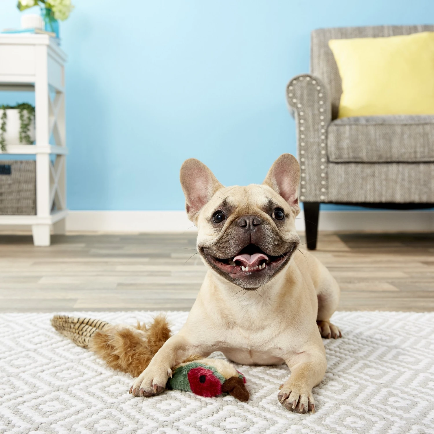 Multipet Empty Nester Squeaky Stuffing-Free Plush Dog Toy 2 Multipet Empty Nester Squeaky Stuffing-Free Plush Dog Toy - Image 2