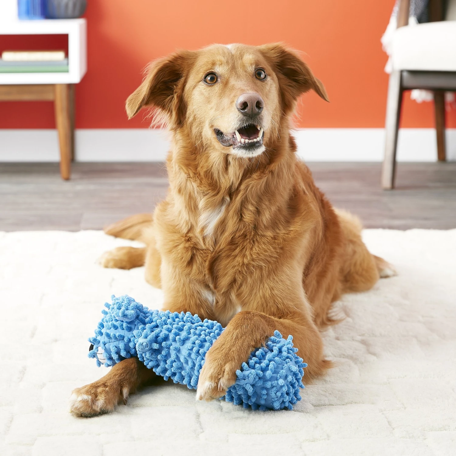 Multipet Loofa Floppy Water Bottle Buddies Squeaky Plush Dog Toy, Color Varies 3 Multipet Loofa Floppy Water Bottle Buddies Squeaky Plush Dog Toy, Color Varies - Image 3