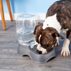 Petmate Pearl Pet Cafe Waterer -Pet Care Sales 68452 PT8. AC SS1800 V1540309962