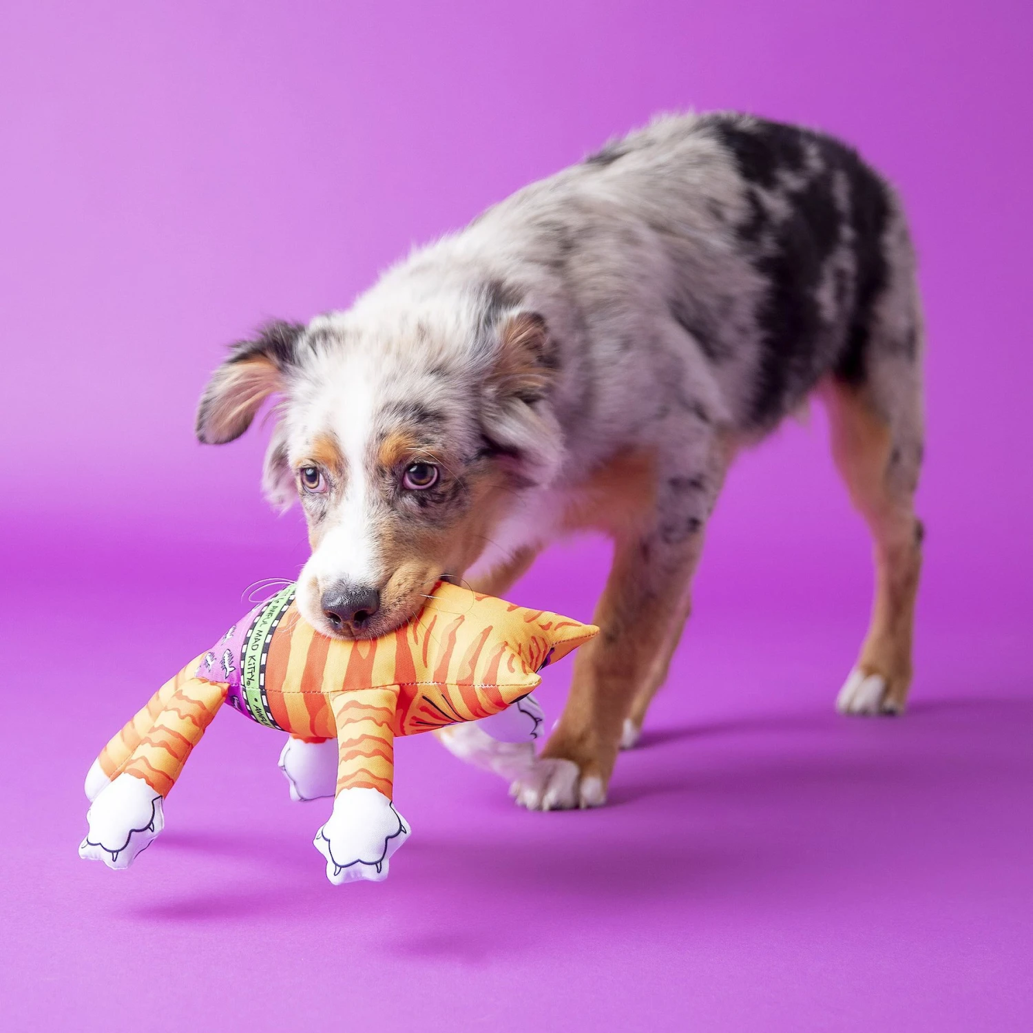 Fat Cat Terrible Nasty Scaries Squeaky Dog Toy, Large, Color Varies 3 Fat Cat Terrible Nasty Scaries Squeaky Dog Toy, Large, Color Varies - Image 3