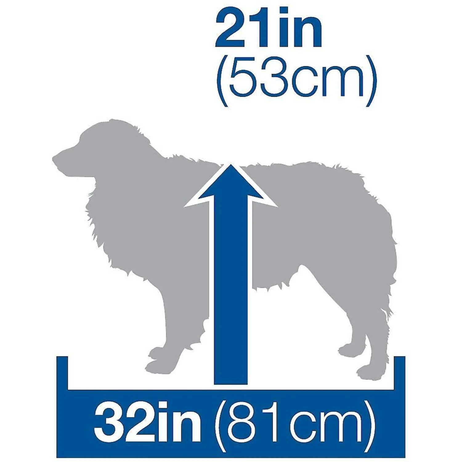 Petmate Ultra Vari Dog & Cat Kennel 5 Petmate Ultra Vari Dog & Cat Kennel - Image 5