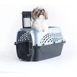 Petmate Two Door Top Load Dog & Cat Kennel -Pet Care Sales 68695 PT5. AC SS1800 V1553876549