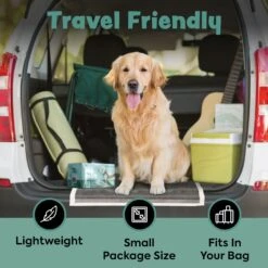 Bark & Clean Premium Activated Charcoal Traveller's Dog Potty Pad -Pet Care Sales 695822 PT4. AC SS1800 V1667518822