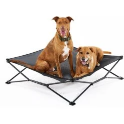 Coolaroo On The Go Elevated Cat & Dog Bed With Removable Cover
