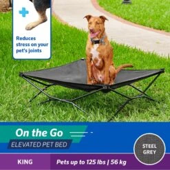 Coolaroo On The Go Elevated Cat & Dog Bed With Removable Cover -Pet Care Sales 696990 PT2. AC SS1800 V1667863730
