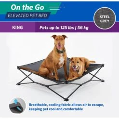 Coolaroo On The Go Elevated Cat & Dog Bed With Removable Cover -Pet Care Sales 696990 PT5. AC SS1800 V1667863780