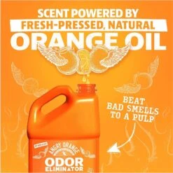 Angry Orange RTU Orange Scented Carpet Odor Eliminator, 128-oz Bottle -Pet Care Sales 697982 PT5. AC SS1800 V1670011703