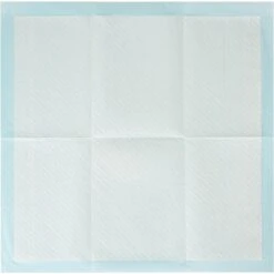 Arm & Hammer Products Puppy Pads With Attractant Dog Poppy Pad -Pet Care Sales 700374 PT3. AC SS1800 V1670516848