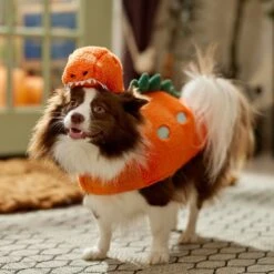 Frisco Furry Dinosaur Dog & Cat Costume -Pet Care Sales 708190 PT7. AC SS1800 V1689278373