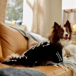 Frisco Glow In The Dark Skeleton Dog & Cat Costume -Pet Care Sales 709038 PT7. AC SS1800 V1689350988