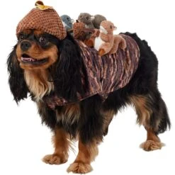Featured Products 9 Frisco Squirrels & Nuts Ride-On Dog & Cat Costume